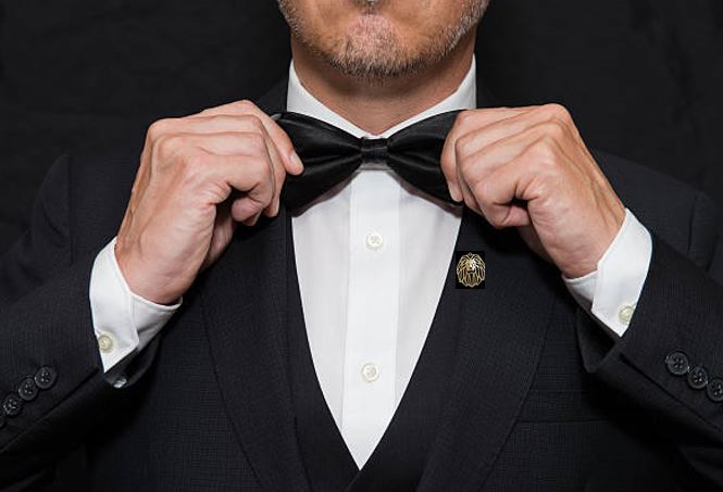 LAPEL PIN LION PACK OF 2