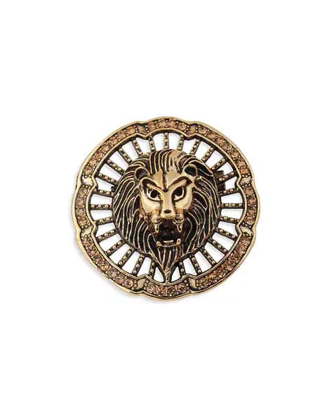 LION ARC BROOCH